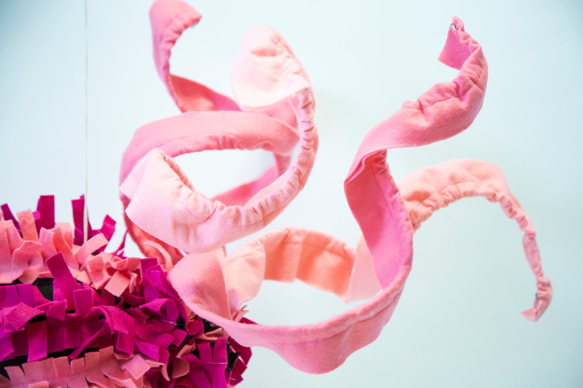 Art product - FISH "El reflejo del asombro"