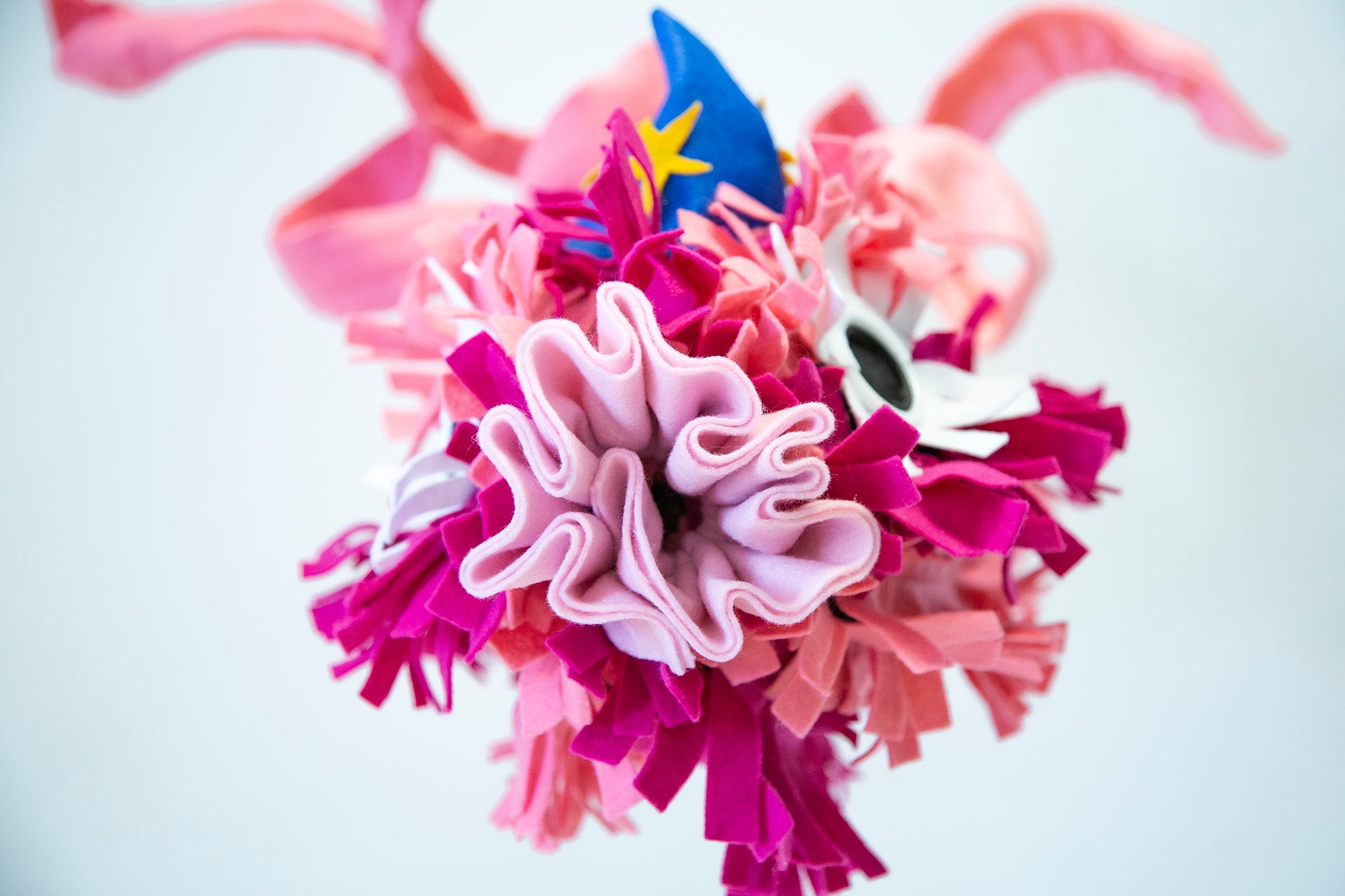 Art product - FISH "El reflejo del asombro"