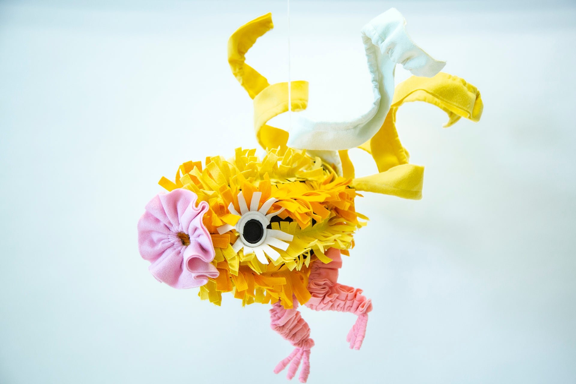 Art product - FISH "El reflejo del asombro"