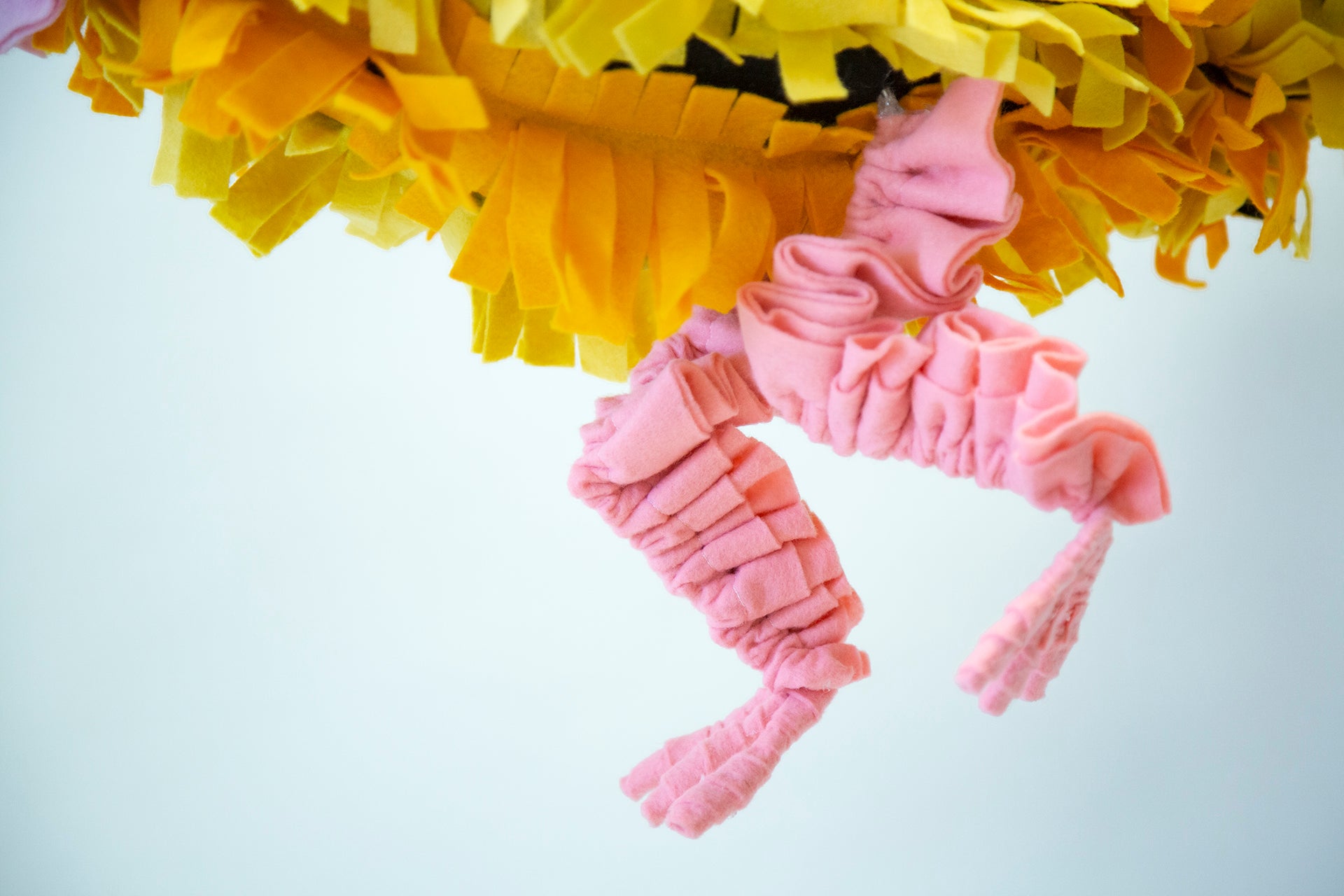 Art product - FISH "El reflejo del asombro"