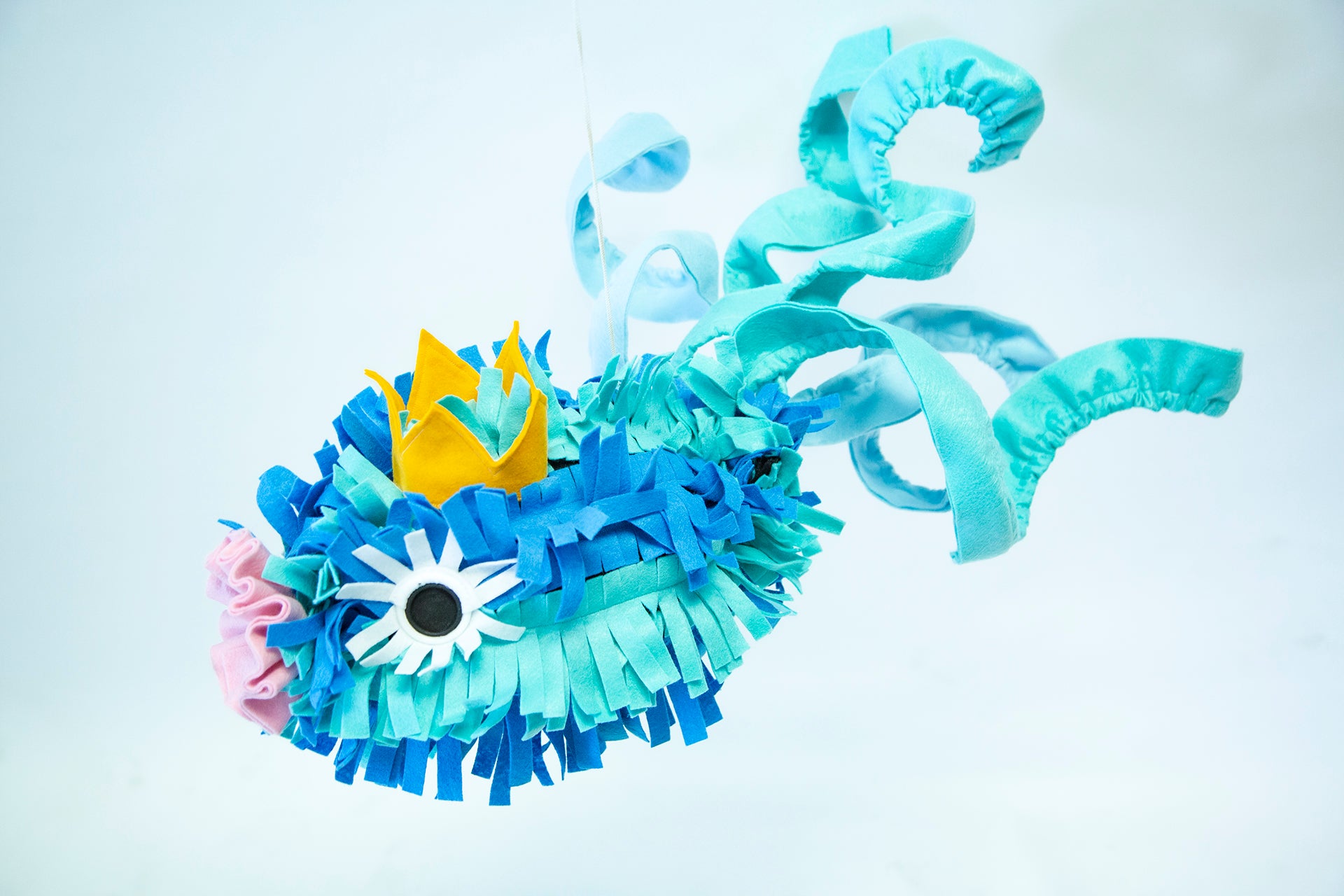 Art product - FISH "El reflejo del asombro"